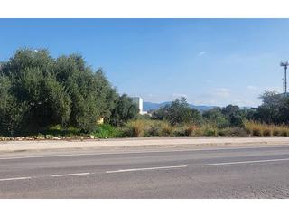 Terrain industriel  Azagador de la torreta. Terreno industrial en venta en lalcora