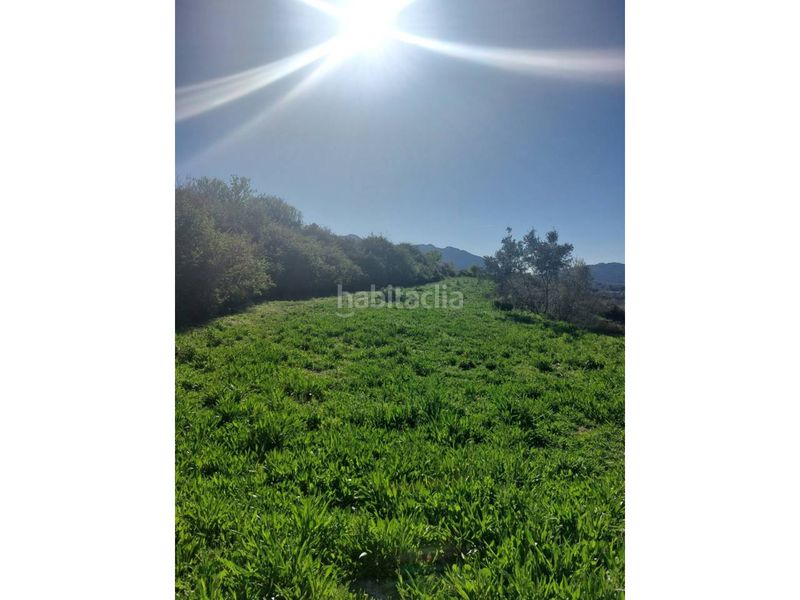 Foto 8f8e3eef-6547-4d82-8287-009b56ea8c74. Xalet amb calefacció a Alcosser