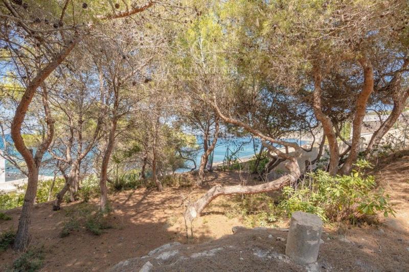 Foto 18fc685a-4cea-485d-b991-2656c0f5b31c. Chalet finca cala exclusiva propiedad frente al mar en jávea con posibilidad de desarrollo en Xàbia