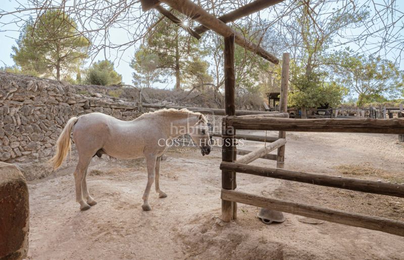 Foto ea1e88a7-31cf-40c3-983d-de29d1a4a505. Xalet amb aparcament piscina a La Sella Pedreguer