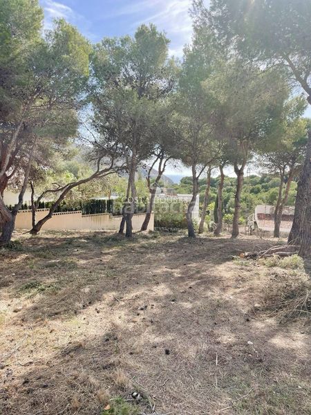 Foto e9249c6e-91ac-4172-8bf6-959a6246eb07. Xalet amb calefacció aparcament piscina a El Portet-Pla del Mar Moraira
