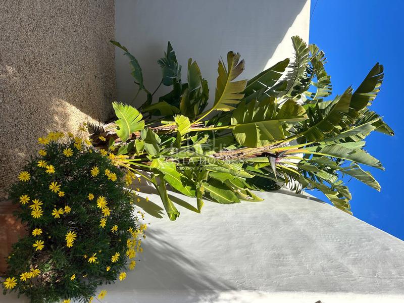 Foto f457f7bb-51c0-434f-87e9-ff69bfd210be. Chalet con riscaldamento parcheggio piscina in La Granadella - Costa Nova Xàbia