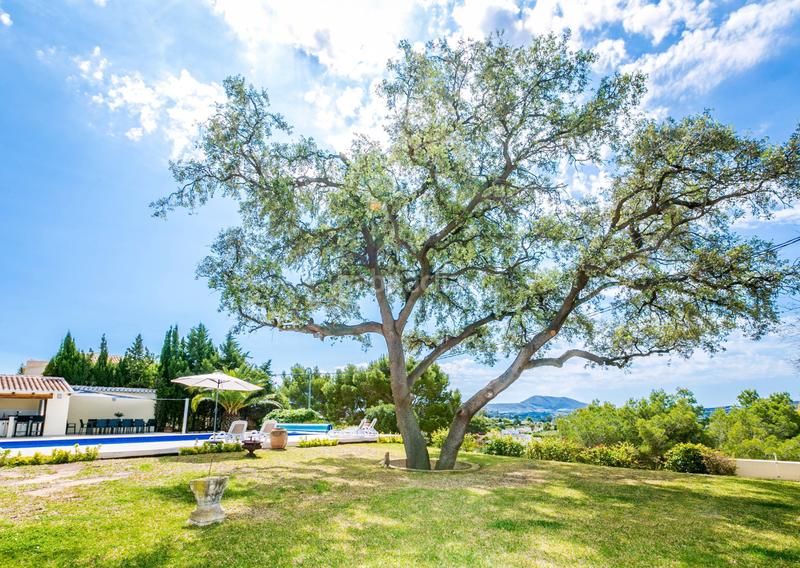 Foto 54364850-b43d-442b-9568-8403230a50bc. Chalet mit heizung parking pool in Partida Tosal - Zona dels Castellans Xàbia