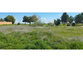 Terreno residencial  Zarcillos. Parcela en venta