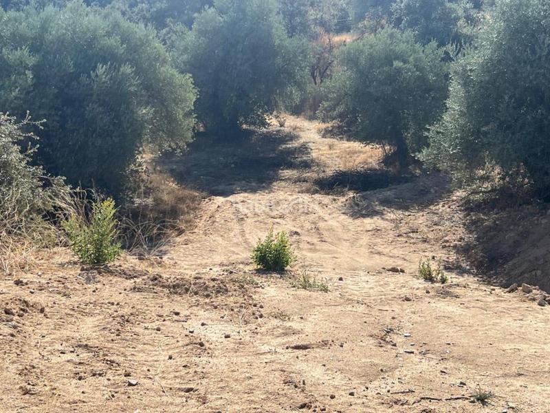 Foto 84714c86-e495-4378-9201-1099de96b67d. Terreny residencial a El Beato Toledo