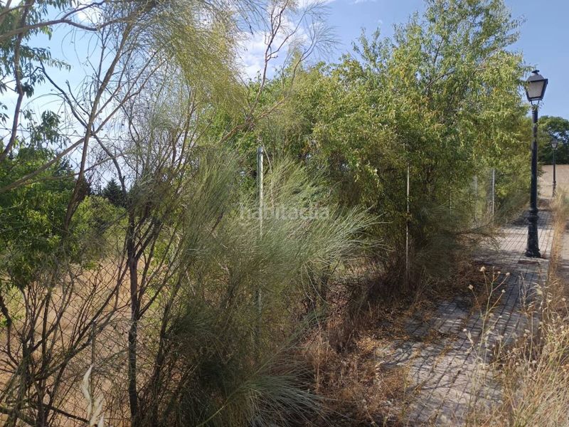 Foto 1f372997-6b33-4992-a4ed-2f719ce10642. Residential plot in Los Cigarrales-La Bastida Toledo