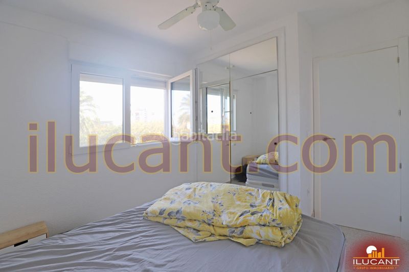 Foto 861e2c33-77fb-4aa9-ade5-67569ced161c. Pis a Cuatrocientas Viviendas Alicante