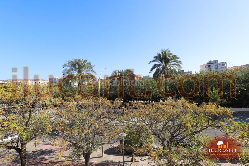 Foto baa33a96-39d5-4a68-9610-847596ad3fe3. Pis a Cuatrocientas Viviendas Alicante