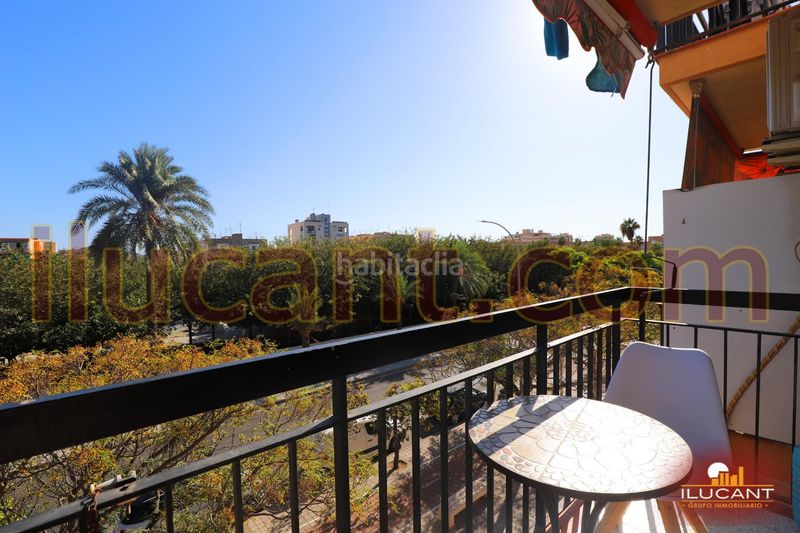 Foto c6255f26-9d95-4a46-bbc0-f4ef97c62260. Pis a Cuatrocientas Viviendas Alicante