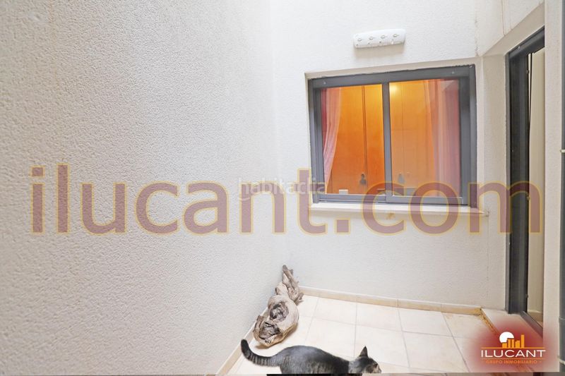 Foto 197c97a7-67d9-48d2-a01a-04c9f5488313. Pis a Carolinas Altas Alicante