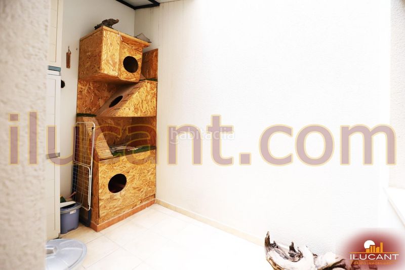 Foto 5125a424-cd0c-4f41-946f-a60a112af401. Pis a Carolinas Altas Alicante