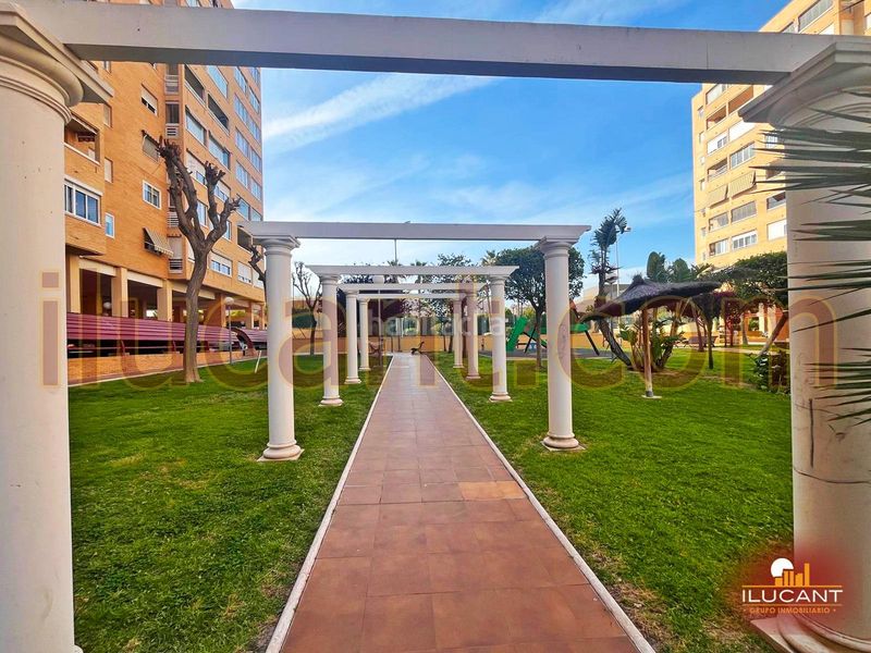 Foto 4c4e3eaa-1509-4cd5-81f5-b57074a352a1. Pis amb aparcament piscina a Babel Alicante