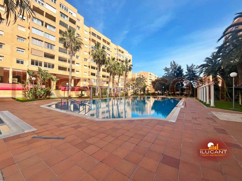 Foto 7ab1d6d6-93c6-42ca-8b2f-e1d6b37fb215. Pis amb aparcament piscina a Babel Alicante