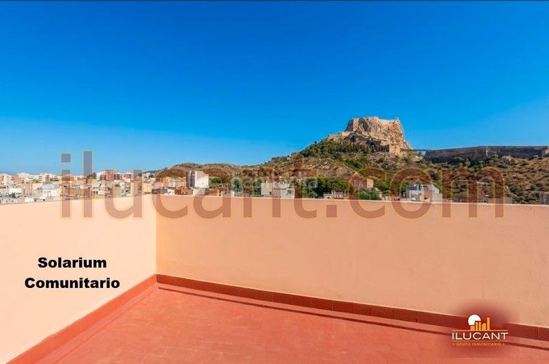 Foto 8c82087e-c0e1-4bbc-8be6-a3d15c543966. Pis a Mercado Alicante