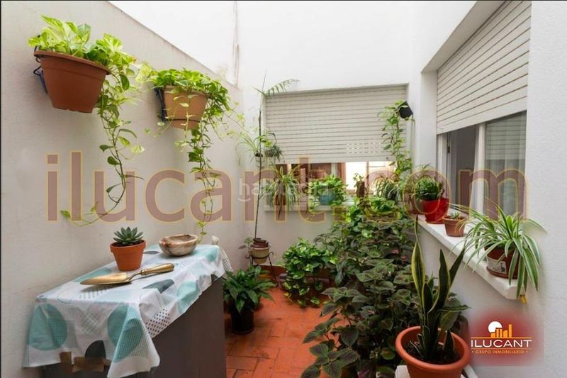 Foto a7ccd3e6-4c64-40e0-ae30-91e217e5c195. Pis a Campoamor Alicante