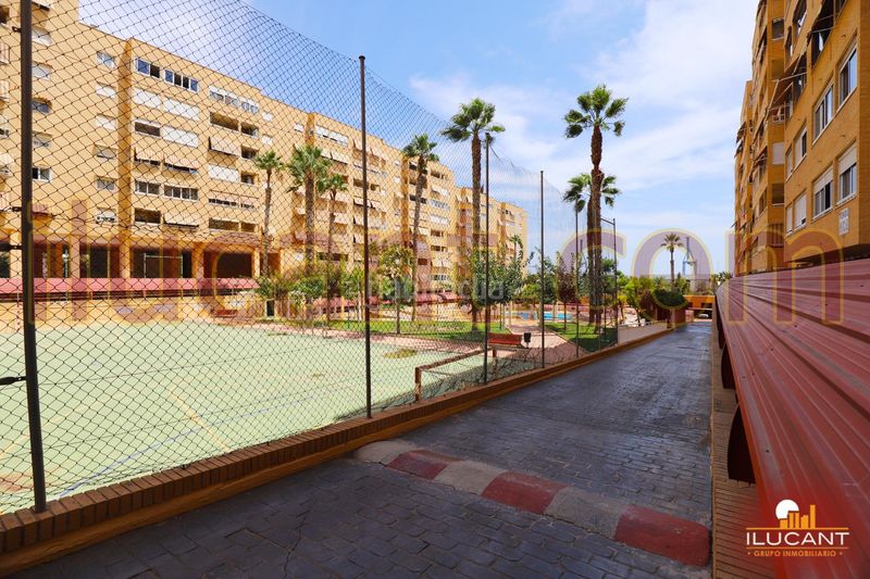 Foto 48e2b95a-0cb2-4362-8f90-d6f61b83222b. Pis amb calefacció aparcament piscina a Babel Alicante