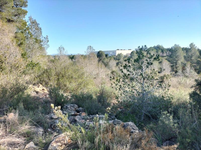 Foto 36005427-332c-4d96-9b33-9905c72c71e9. Fondo rustico in Navarrés