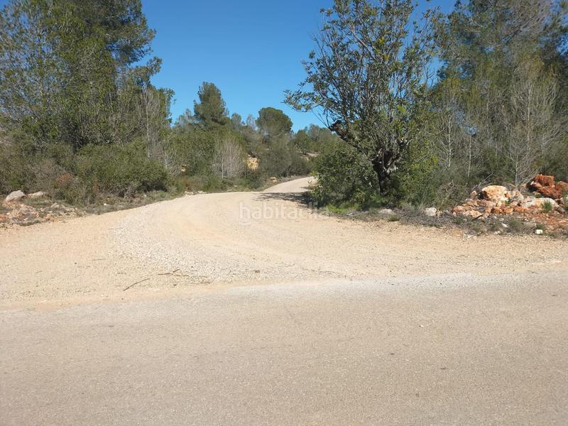 Foto 36a3a3b1-56d6-4944-bc7e-5851ee631d01. Fondo rustico in Navarrés