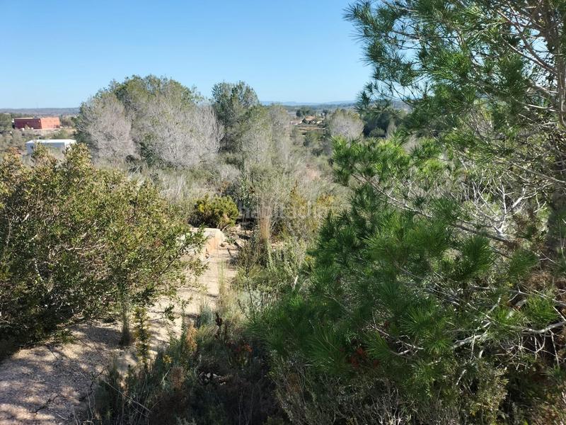 Foto 6cde6d99-abbe-4e6f-b780-ef5789432414. Fondo rustico in Navarrés