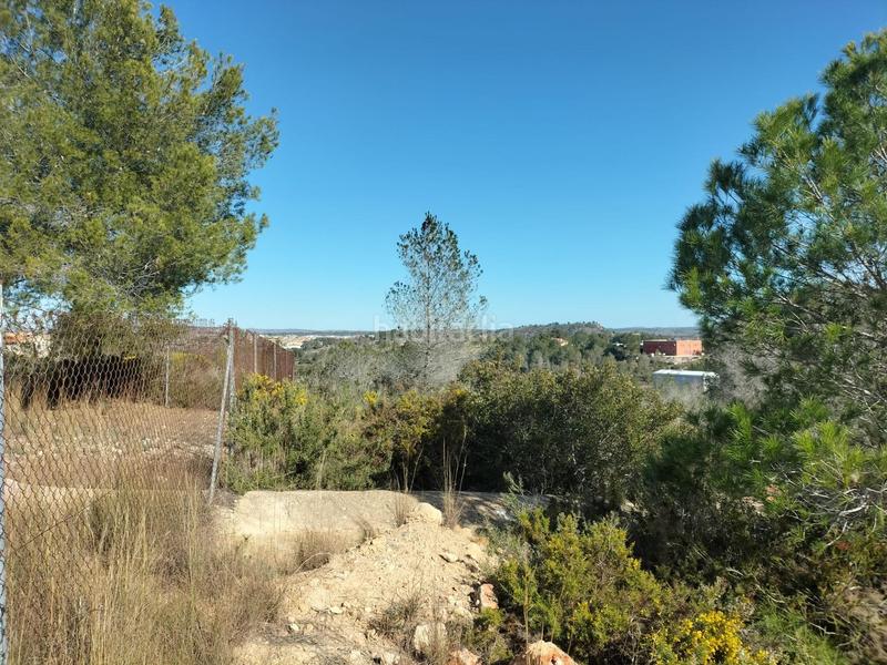 Foto 867a9703-9253-48fd-bac2-b9efe2499789. Fondo rustico in Navarrés