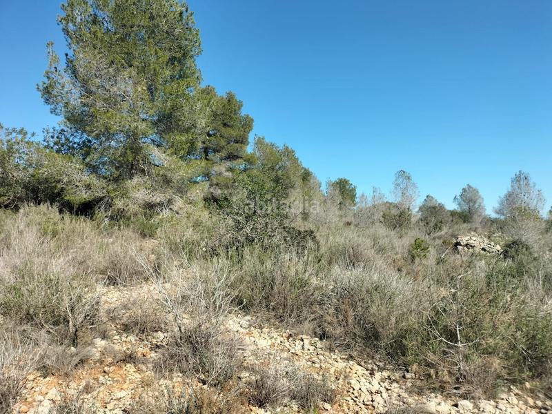 Foto 947b76f7-755b-4385-8105-c0f8625328dc. Fondo rustico in Navarrés