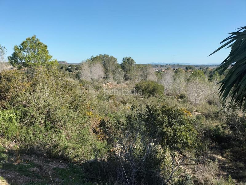 Foto e26967ba-bd44-42a1-a37b-27be4c94ae31. Fondo rustico in Navarrés