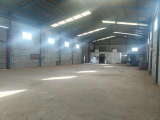 Nau industrial a Senyera. Nave industrial de 600 m2 ubicada en senyera valencia