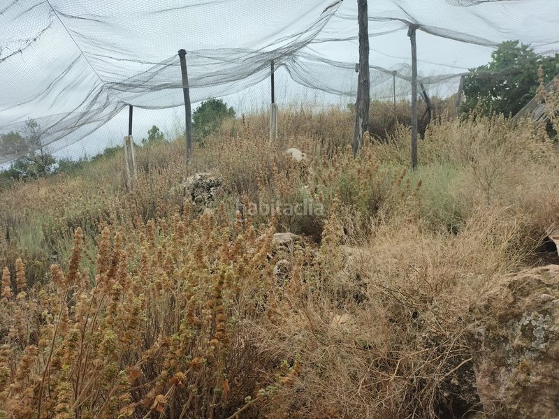 Foto f19465d9-8ef2-4450-a199-693d3be216da. Local comercial a Bolbaite