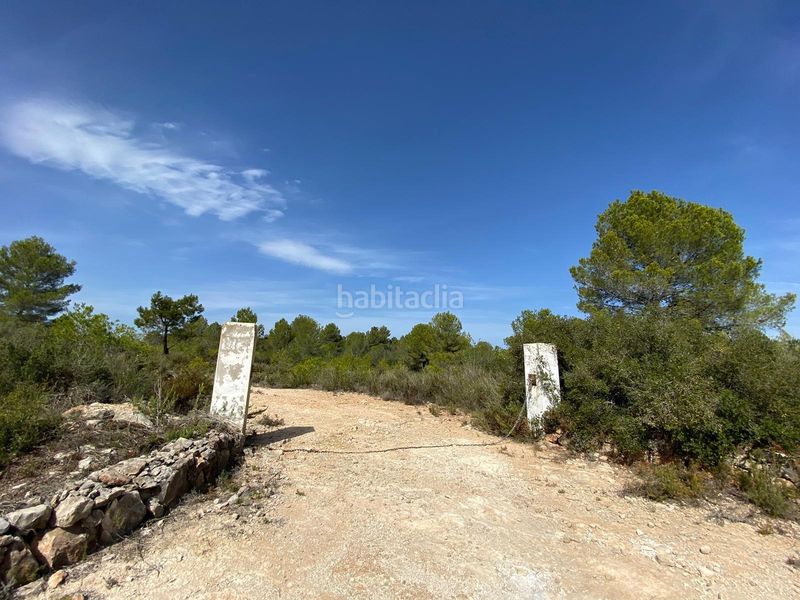 Foto 48d1f3c6-ae7d-4c25-a72b-3f7f6ee1fce4. Masia a Chella