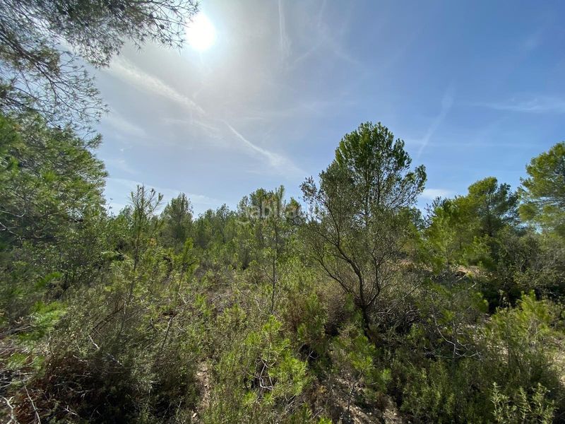 Foto c8e19320-7e09-41b4-b74c-7038eaa15690. Masia a Chella