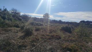 Fondo rustico in Olleria (l´). Terreno rustico agrario