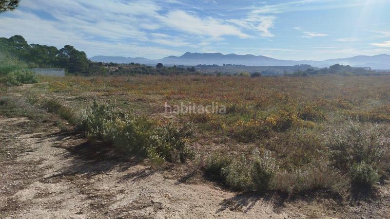 Foto 02223c03-849e-4ae5-a7b2-d5b658a204b1. Rural plot in Olleria (l´)