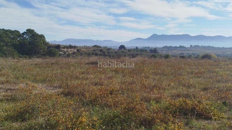 Foto 34fd4d38-9888-4410-874e-5974b249b8c8. Rural plot in Olleria (l´)