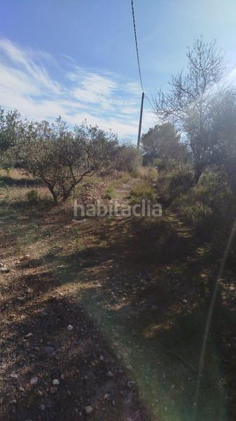 Foto 581dba81-8c95-48c5-a792-487ee1961c2b. Rural plot in Olleria (l´)