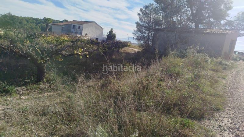 Foto 8097bef0-d9c9-411a-97ac-5afc11a02a58. Rural plot in Olleria (l´)