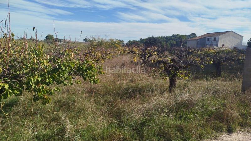 Foto a0c62ce4-703e-4bfc-bb1b-2a8dec4a1e3f. Rural plot in Olleria (l´)