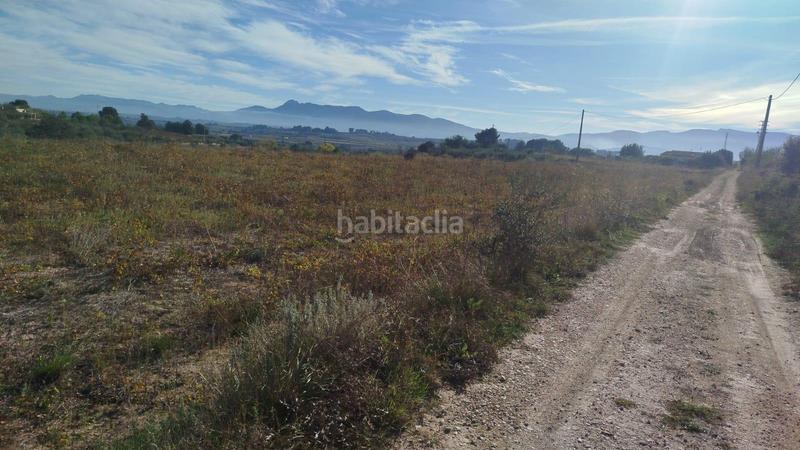 Foto b0cc6a3c-e6bd-40ed-9024-1e57667ef0f8. Rural plot in Olleria (l´)