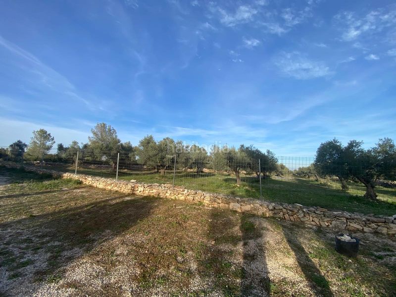 Foto 63bde688-240c-48b2-87d9-9df6dbff3d2d. Masia amb aparcament a Enguera