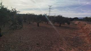 Finca rústica a Olleria (l´). Terreno rustico  agrario