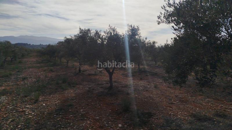 Foto 1c014db7-c3a8-49b2-abfe-58cbc7e9e0fb. Landgut in Olleria (l´)