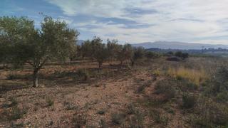 Finca rústica a Olleria (l´). Venta de terreno rustico