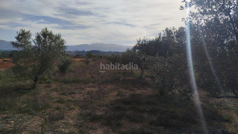 Foto a82cae83-fe21-4a47-b04b-d97430144b3d. Landgut in Olleria (l´)