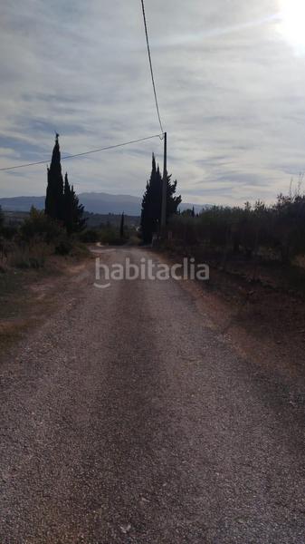 Foto c0097691-dff9-463e-a099-eb8dff1476cc. Landgut in Olleria (l´)