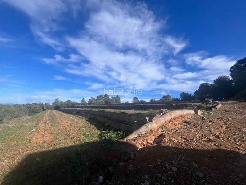 Foto 8c7b11c6-f131-4ac7-80b7-abb50ce86cf2. Finca rústica a Anna