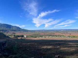 Landgut in Anna. Oportunidad única  terreno rústico en los pocicos