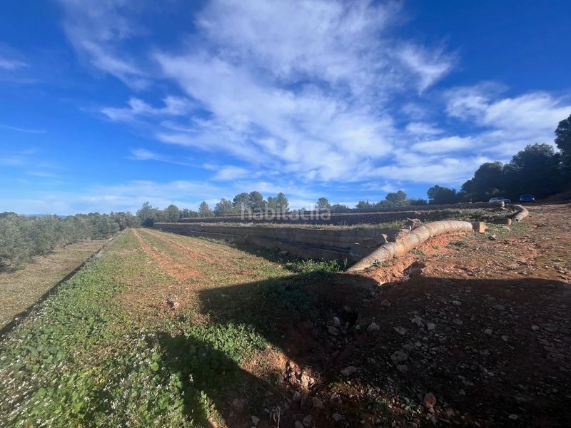 Foto efcbff63-b782-4400-ba96-c3b92e7b9e7a. Finca rústica a Anna