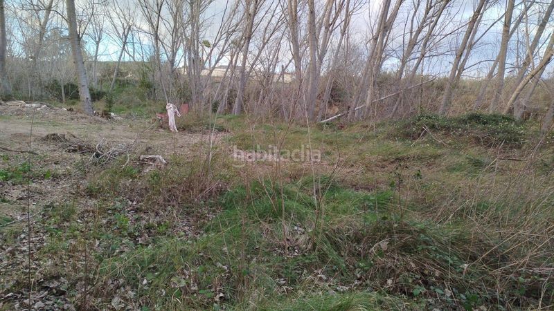 Foto 932bc2ba-2bb7-45d5-bac4-9bf1ed1c2cd3. Local comercial a Bufali