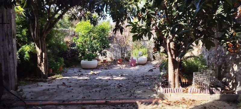 Foto ebac7187-2448-4c57-8d92-29372f67578b. Casa a Cárcer