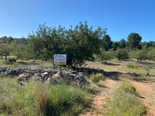 Terreno residencial en Bolbaite. Terreno rustico cerca de bolbaite