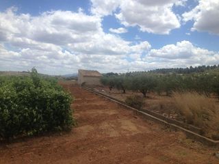 Terreno residencial en Bolbaite. Rustico con aperos en bolbaite